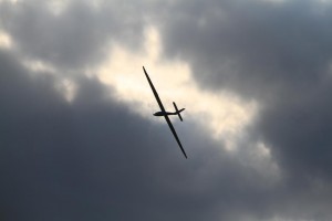 IMG_0379