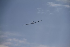 IMG_0384