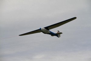 IMG_0514 